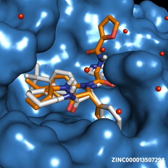 Molecule ZINC000013507294: COVID-19 Virtual Screening Result