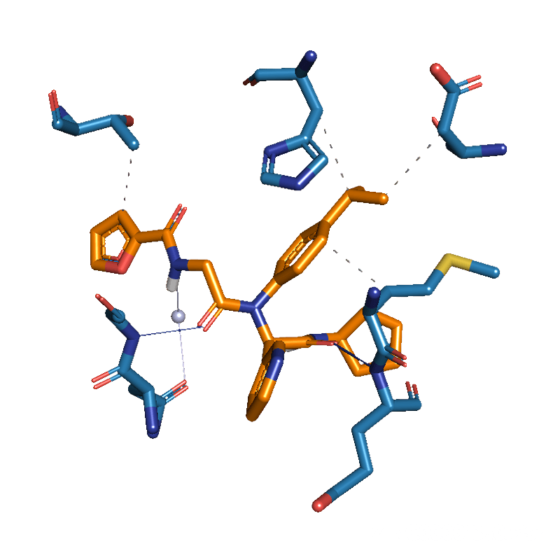 Molecule ZINC000013507294: COVID-19 Virtual Screening Result