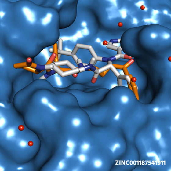 Molecule ZINC001187541911: COVID-19 Virtual Screening Result