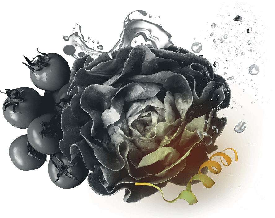 Peptides in food industry